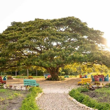 Hacienda La Huerta, Puerto Plata Villa Dış mekan fotoğraf