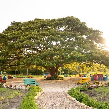 Hacienda La Huerta, Puerto Plata Villa Dış mekan fotoğraf