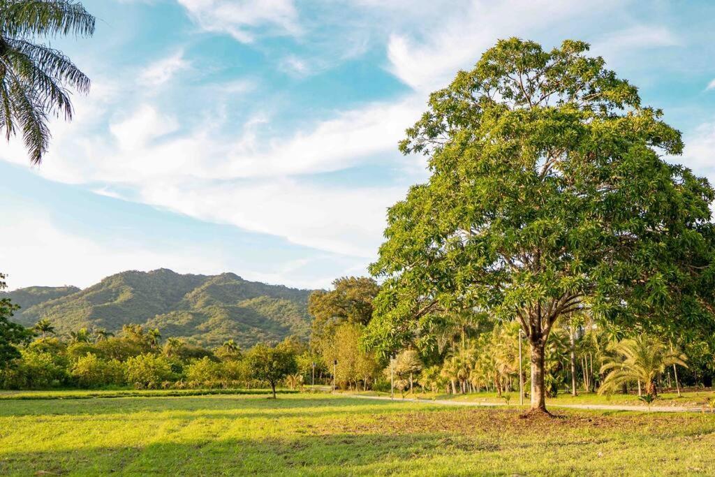 Hacienda La Huerta, Puerto Plata Villa Dış mekan fotoğraf