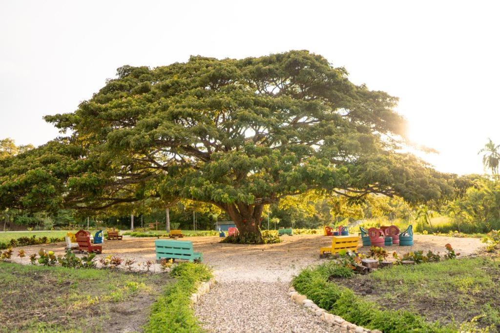 Hacienda La Huerta, Puerto Plata Villa Dış mekan fotoğraf